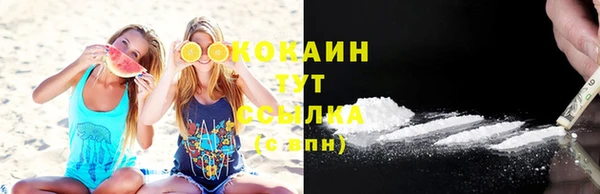 амф Верхний Тагил