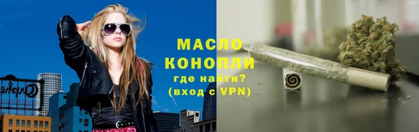 амф Верхний Тагил