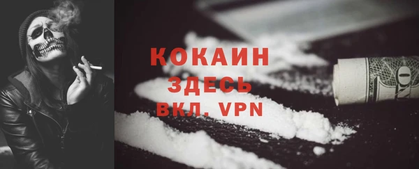 амф Верхний Тагил