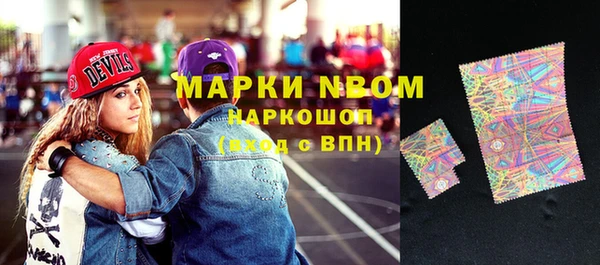 амф Верхний Тагил