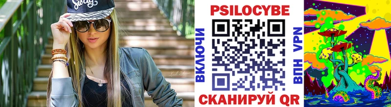 цена   Благовещенск  Псилоцибиновые грибы GOLDEN TEACHER 